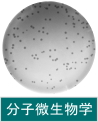 分子微生物学
