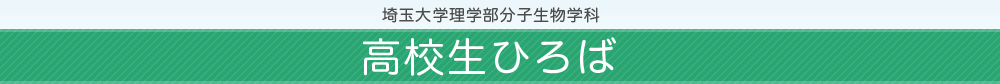 埼玉大学理学部分子生物学科 高校生ひろば