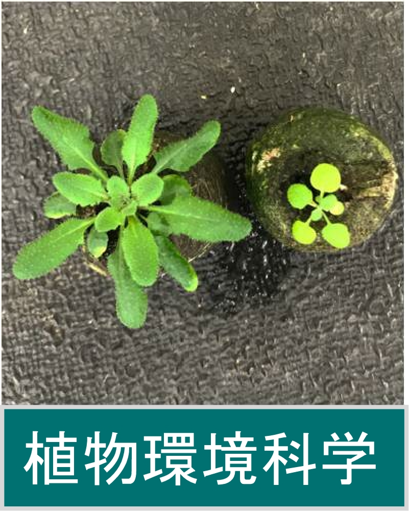 植物環境科学