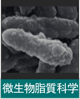 微生物脂質科学
