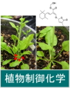 植物制御化学