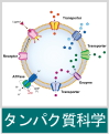 タンパク質科学